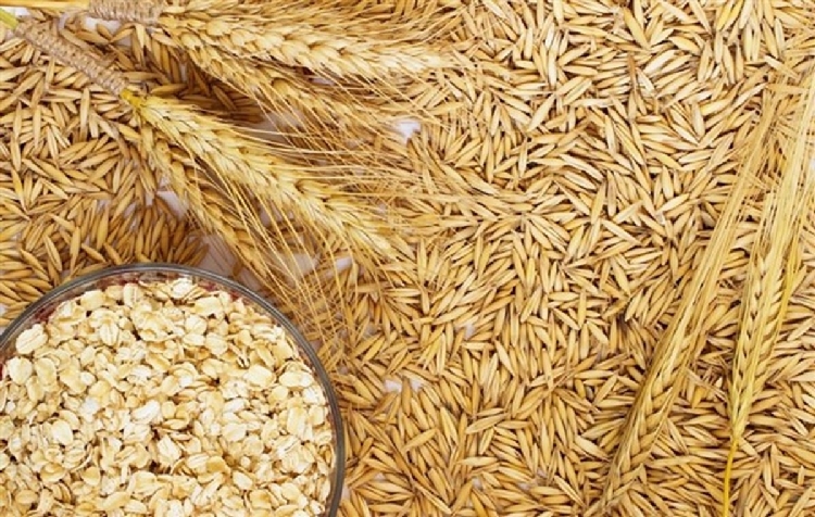 Yulaf Gübreleme Önerileri (Tavsiyeleri) Yulaf Gübreleme Önerileri (Tavsiyeleri)