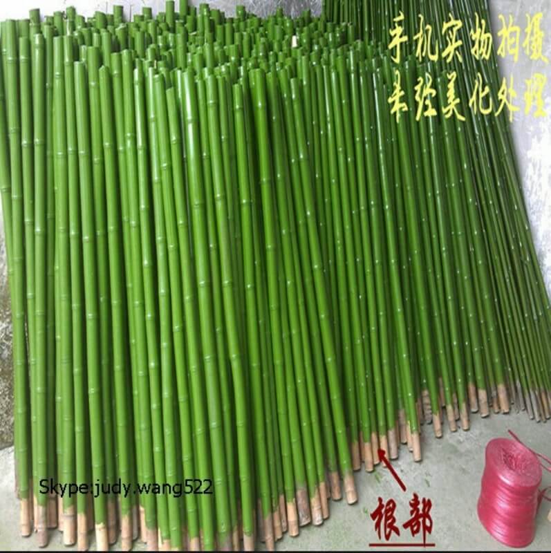 bambu agaci